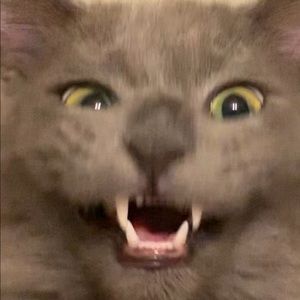 Meet your Posher, Alfredo